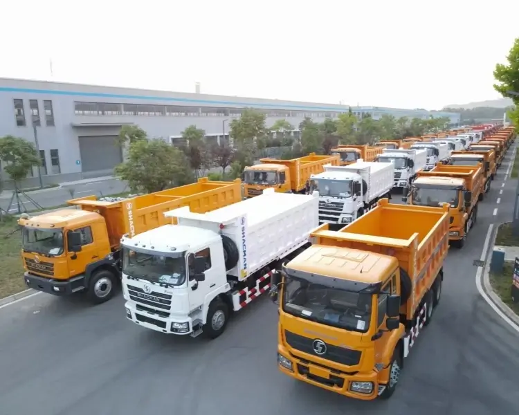Shacman Dump Truck F3000 Price for Sale
