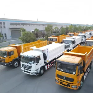 Shacman Dump Truck F3000 Price for Sale