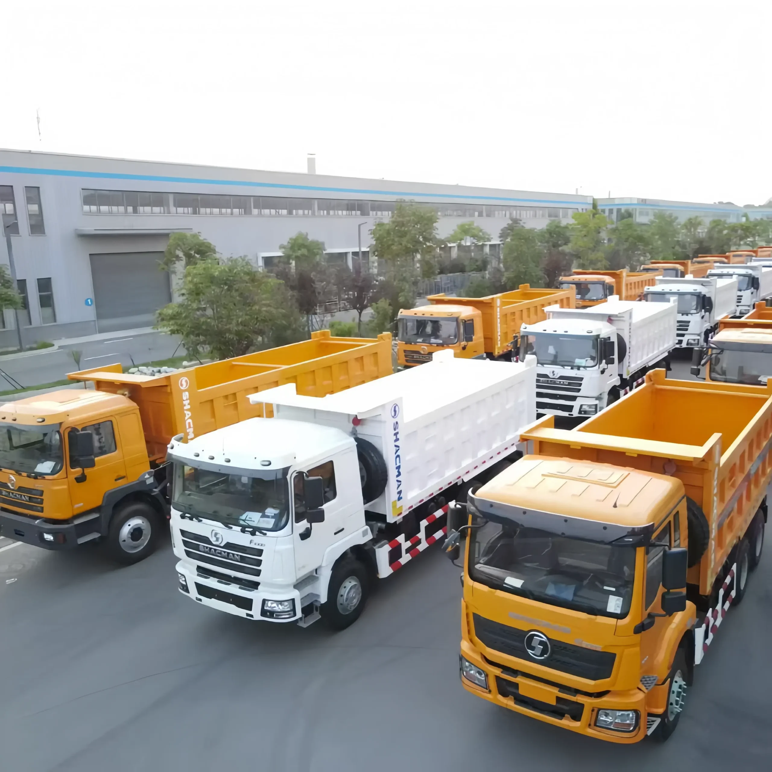 Shacman Dump Truck F3000 Price for Sale