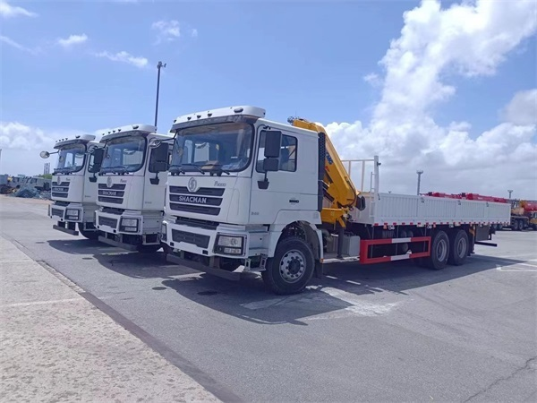 Shacman Truck Mounted Crane Truck 6X4 F3000